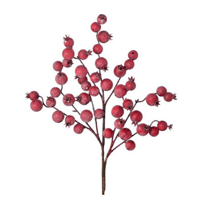 Crabapple Cranberry Spray  