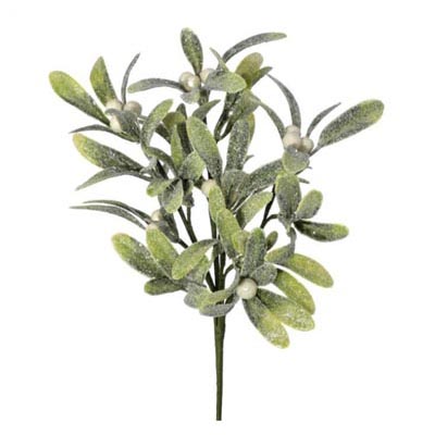 Frosted Mistletoe Berry Pick