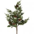 Cypress Spray with Pinecones