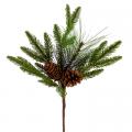 Mixed Fir Spray with Cones