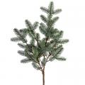 Frosted Balsam Pine Spray - 34"