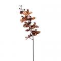 Copper Orchid Spray