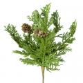 Cypress Pick with Cones