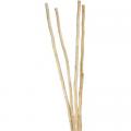 Natural Mitsui Sticks 