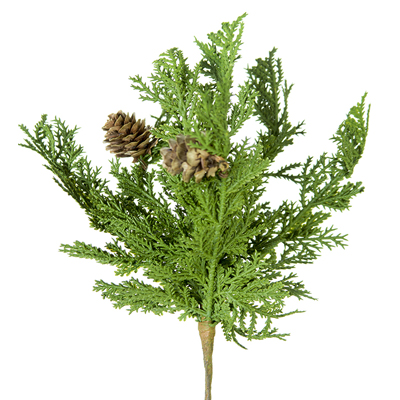 Cypress Pick with Cones