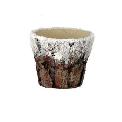 Bark Pot with Snow