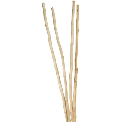 Natural Mitsui Sticks 