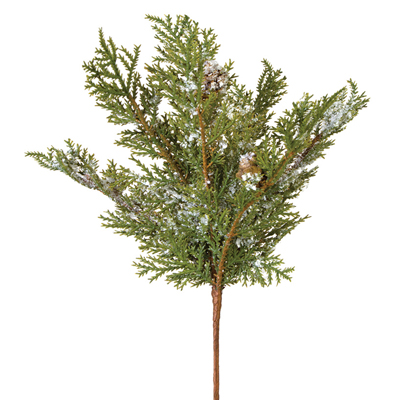 Snowy Cedar with Pinecones Pick 11"