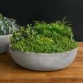 PLANTER, MED TERRACE BOWL 11#