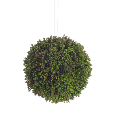 ORB, SEDUM GREEN LARGE