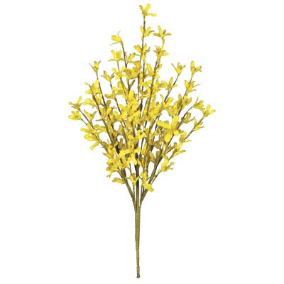 BUSH, 18" FORSYTHIA