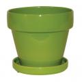 POT, 4.5" STD APPLE GREEN