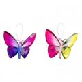 CHARM, 5" HANGING B'FLY ASORT