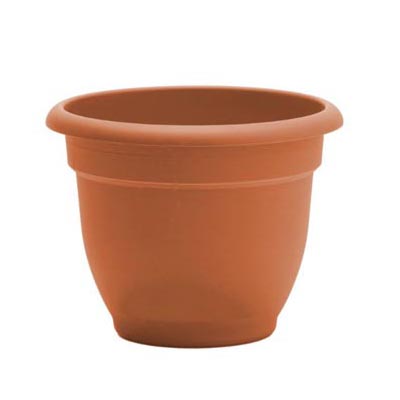 PLANTER, 6" ARIANA TERRA COTTA