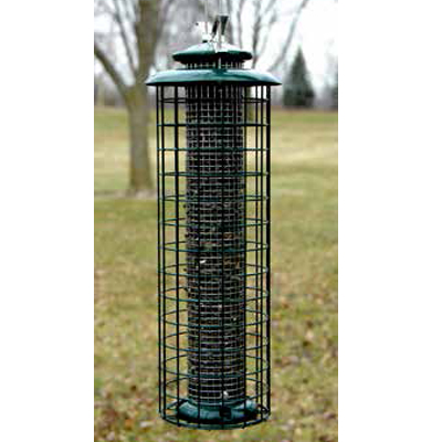 Caged Screen Black Oil Sunflower Seed or Peanut Tube Bird Feeder