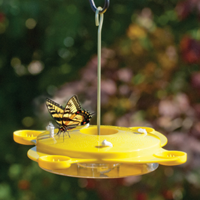 Butterfly Feeder