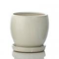 POT, DARINES WHITE 6"