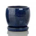 Darines Cobalt Blue Pot