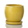 POT, DARINES YELLOW 6"