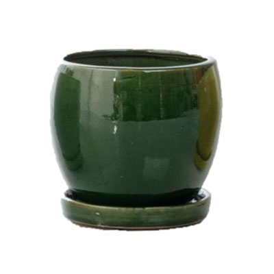 POT, DARINES GREEN 6"