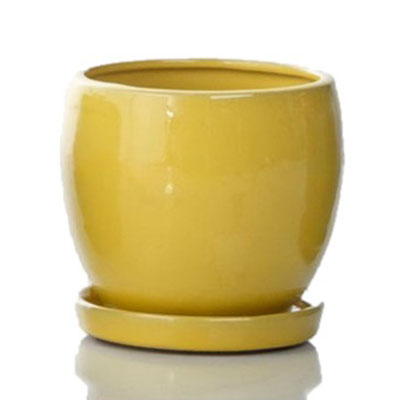 POT, DARINES YELLOW 8"