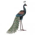 PEACOCK, 35.75" STANDING