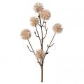 STEM, 18" BALL THISTLE IVORY