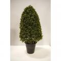 Artificial Boxwood Dome Topiary