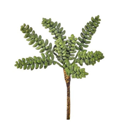 PICK, BURROW TAIL SUCCULENT 8.5"