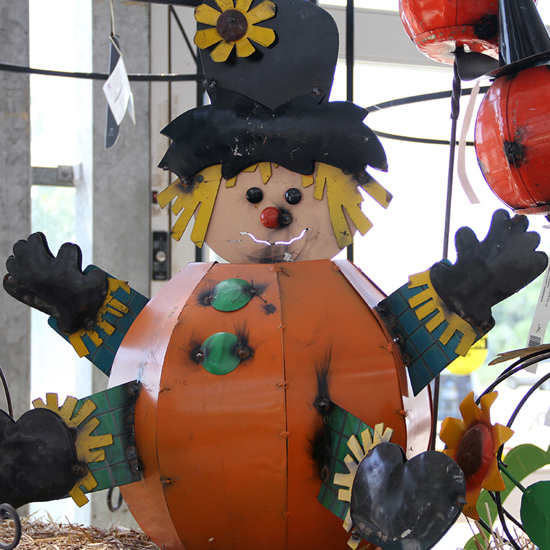 FALL DECOR