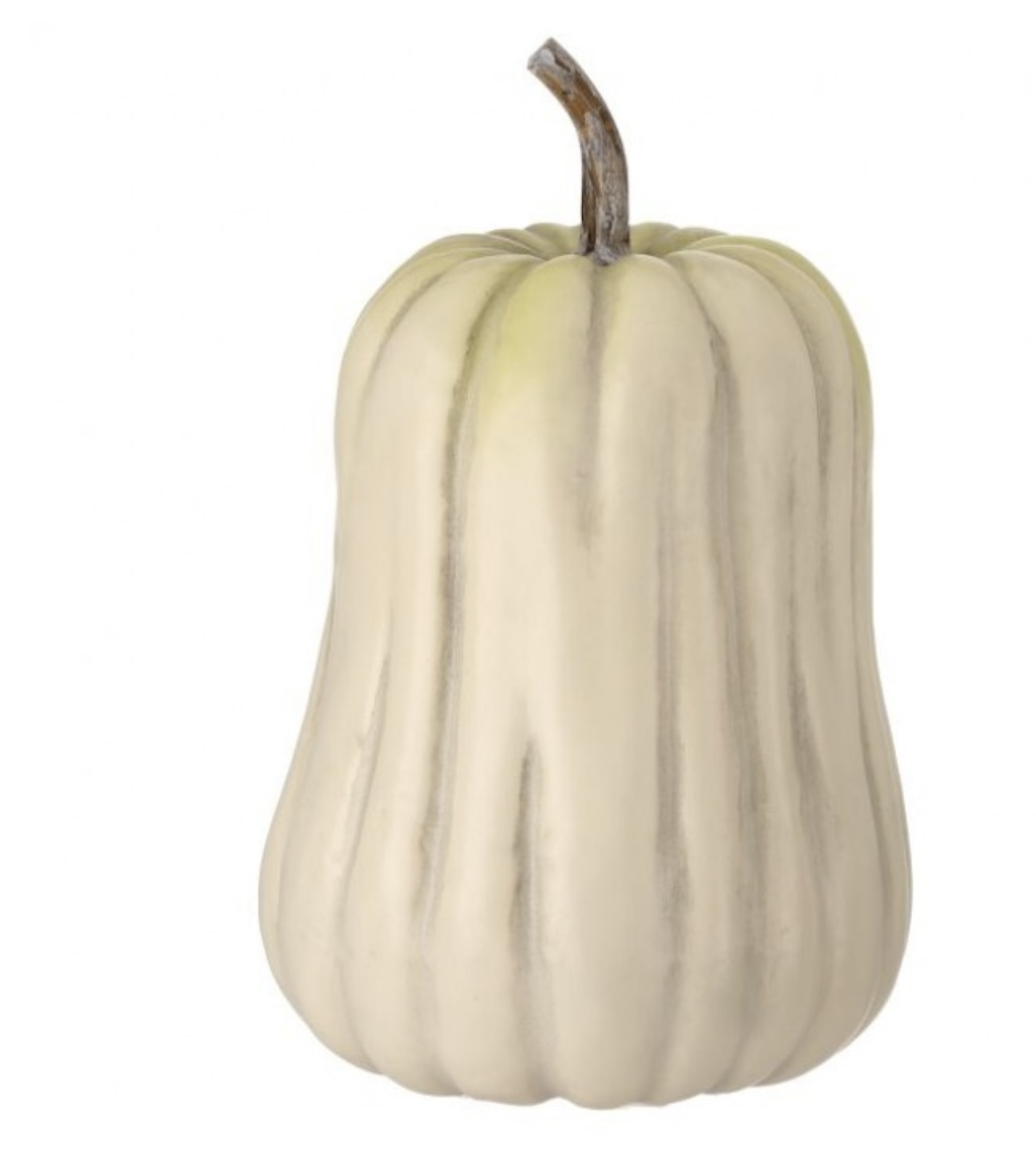 Hybrid Cream Brown Pumpkin