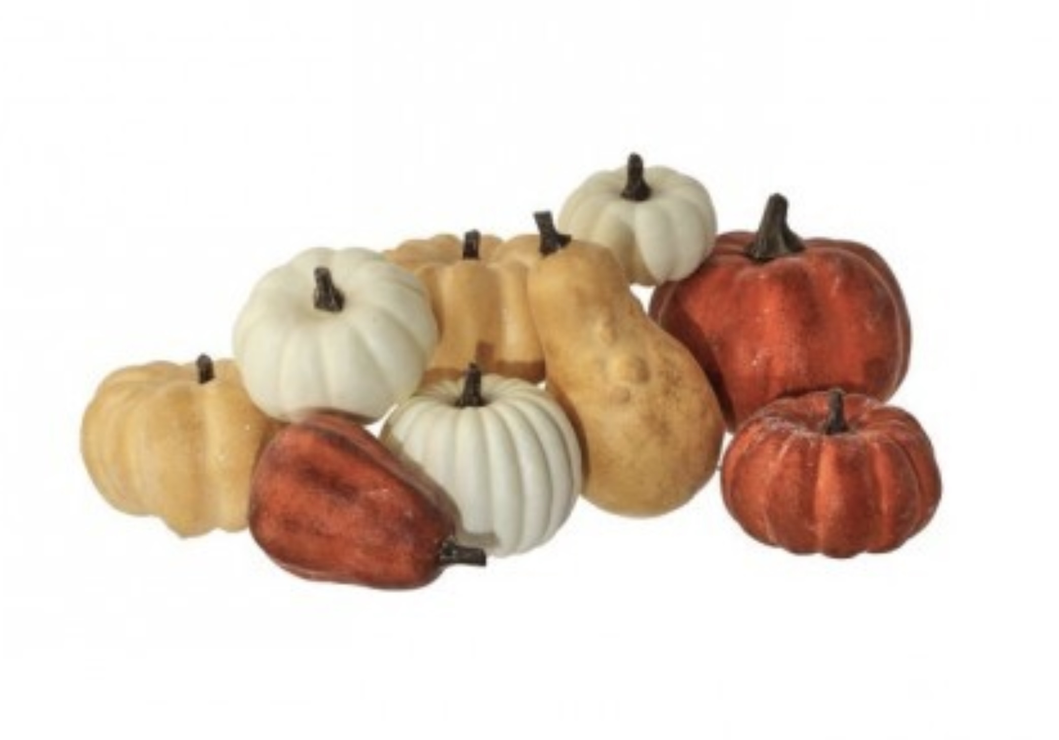 Assortment of 9 Mini Gourds & Pumpkins