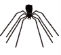 12 Foot Black Spider