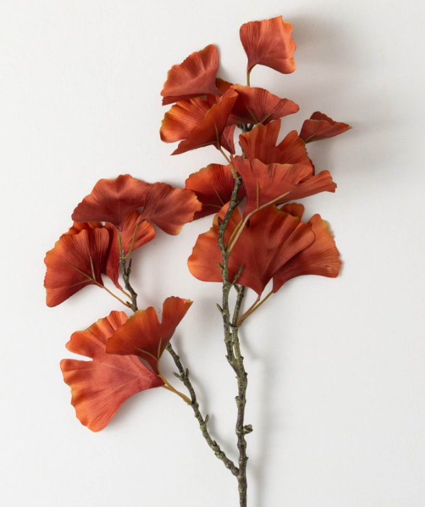 Orange Leaf Ginkgo 