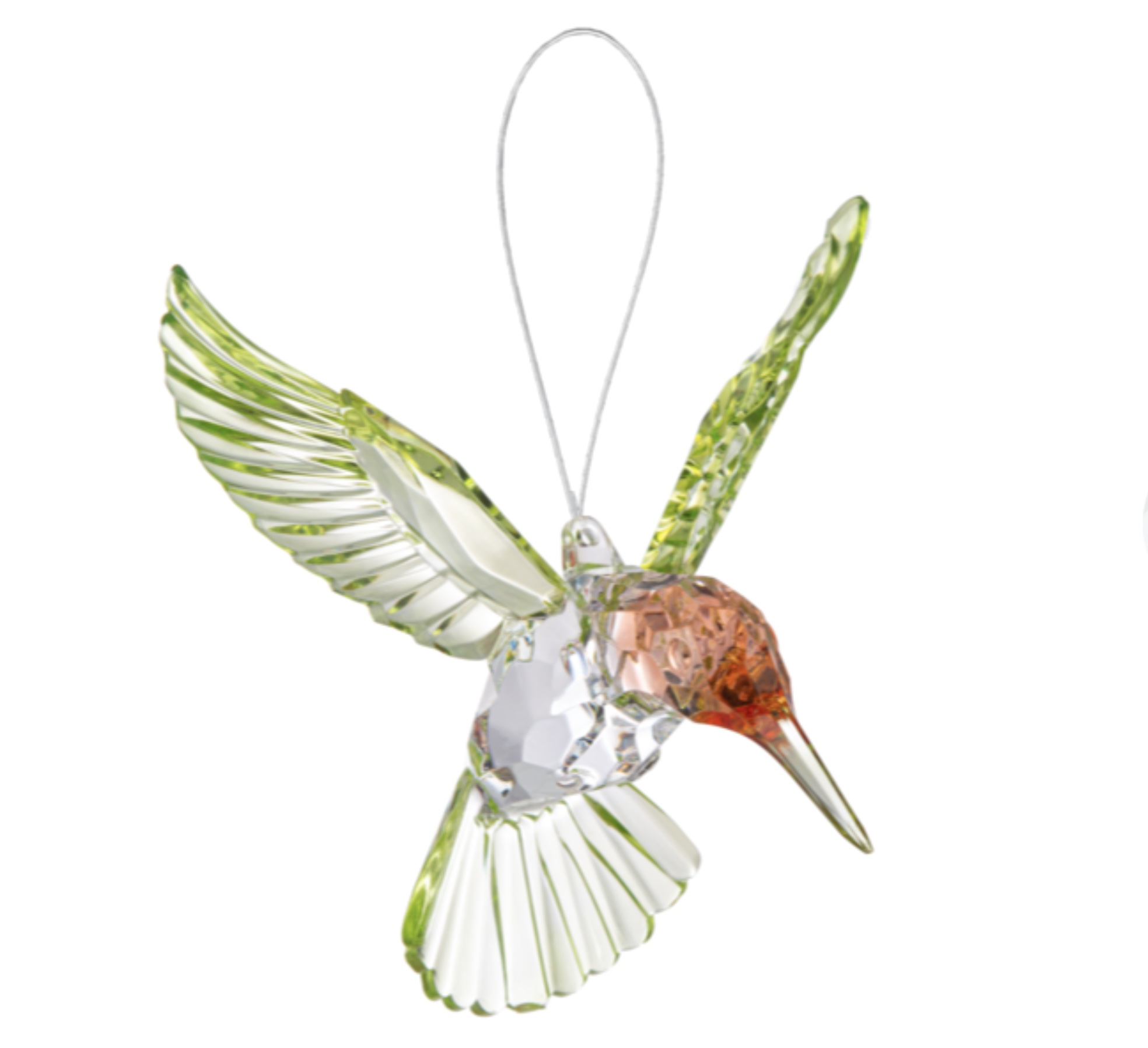 Red Throated Hummingbird