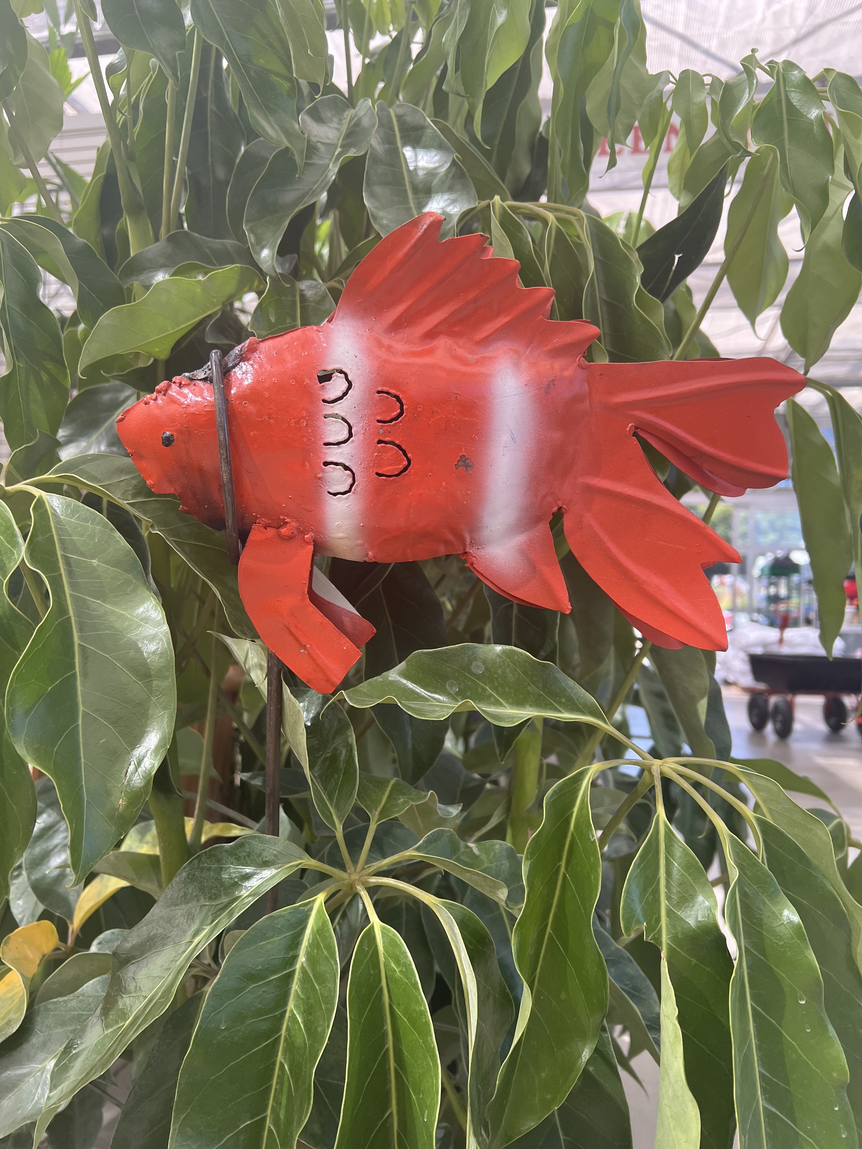 Red & White Fish on a Metal Stake