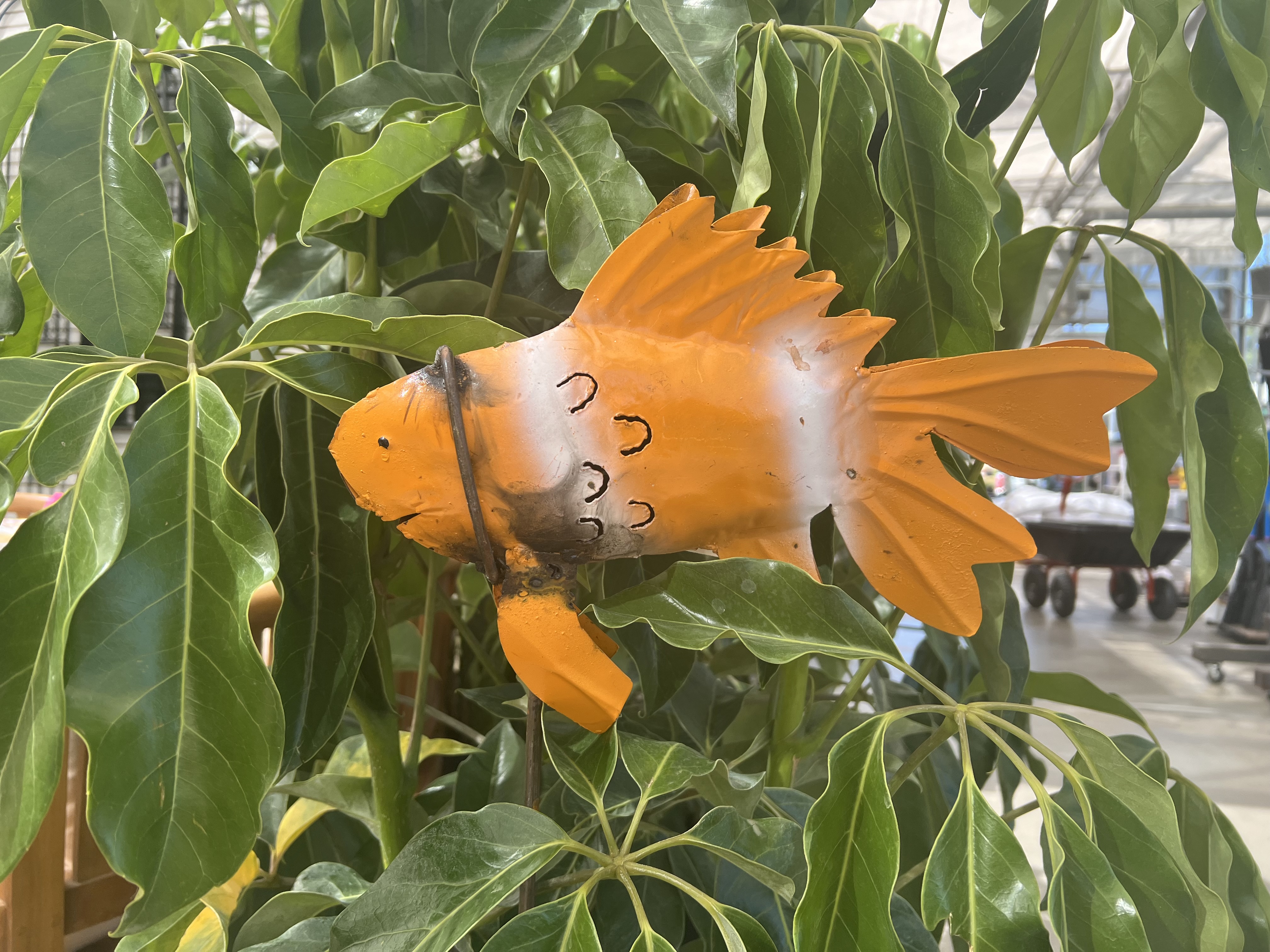 Orange & White Metal Fish on a Stake