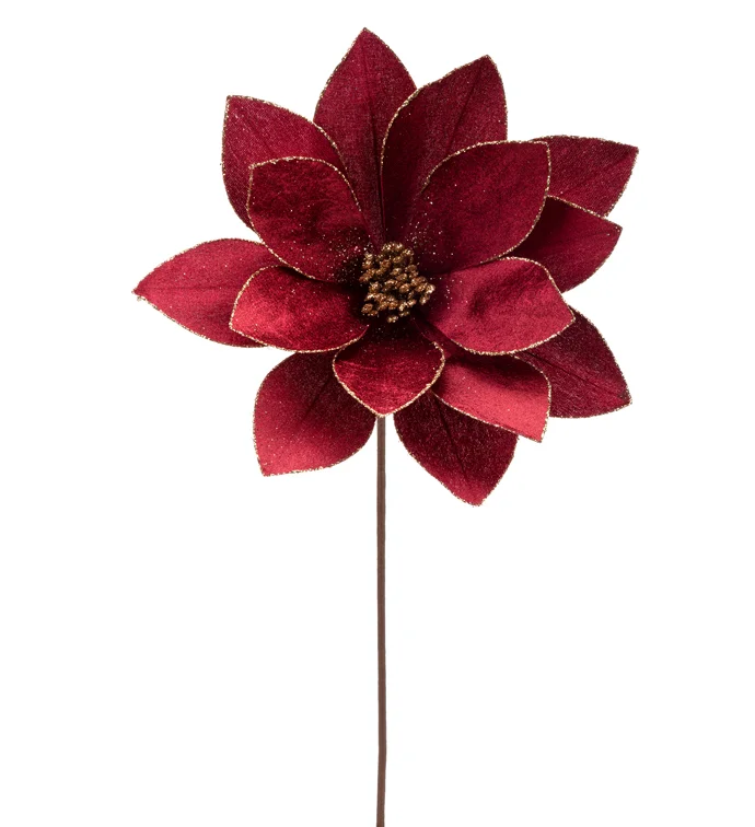 Burgundy Magnolia Stem