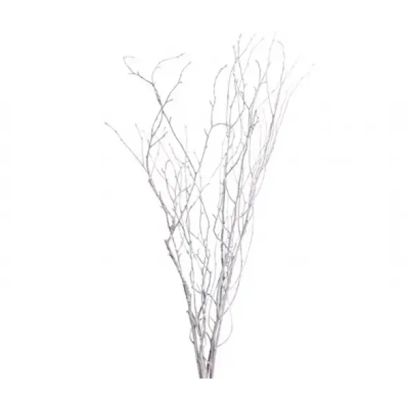 Frosted Jay Branches