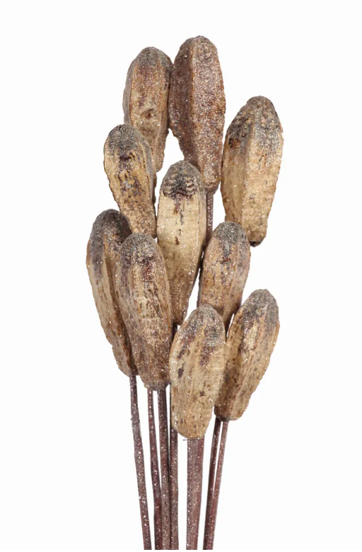 Frosted Mahogany Pods