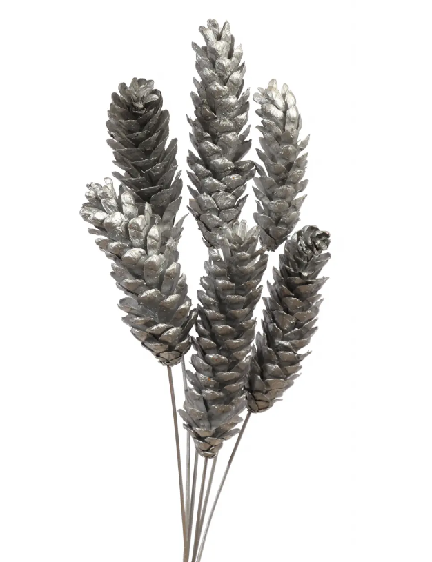 Silver Metallic Strobus Pine Cones