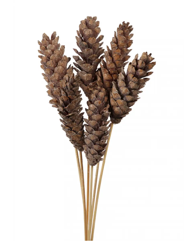 Frosted Strobus Pine Cones (6 Stems)