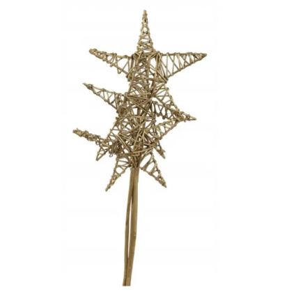 Gold Metallic Jumbo Lata Stars