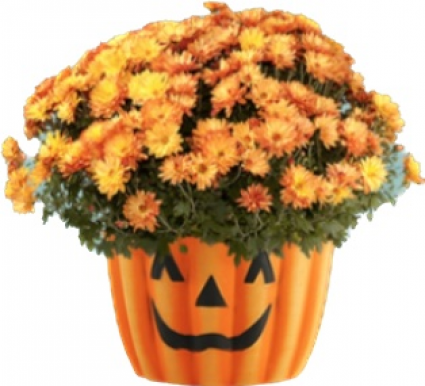 Pumpkin Face Pot   