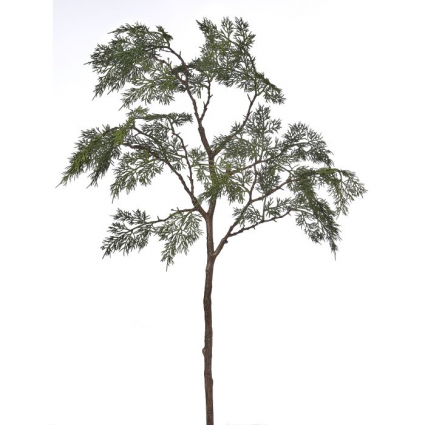 Woodland Cedar Spray