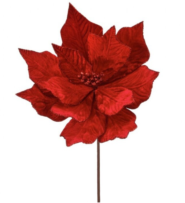 Red Velvet Poinsettia Stem 24"