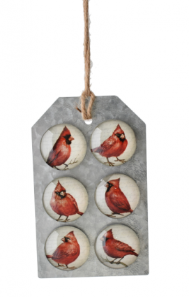 Cardinal with Script Background Magnets