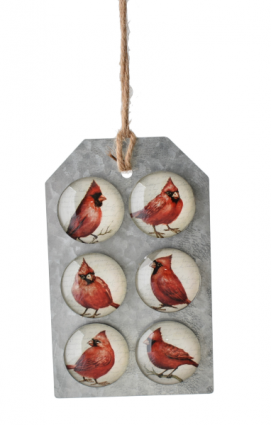 Cardinal with Script Background Magnet Ornament