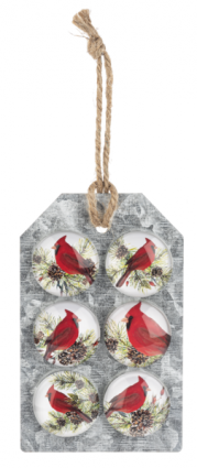 Cardinal sitting on Pine Sprig Magnets