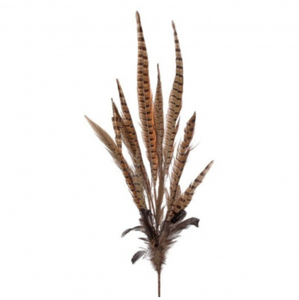 Pheasant Feather Spray